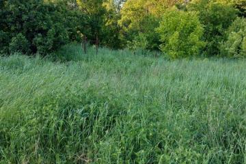 Фото №3: Земельный участок 4.53 сот. - Горячий Ключ, мкр. Браславец, ул. Жидковая