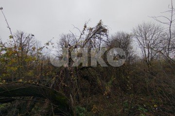 Фото №4: Земельный участок под ИЖС - Кутаисская, ул. Приречная, 26