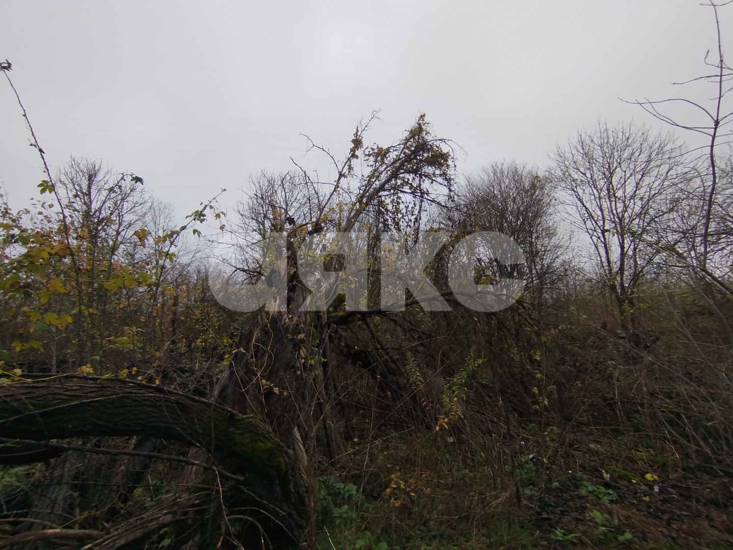 Фото №4: Земельный участок под ИЖС 21 сот. - Кутаисская, ул. Приречная, 26