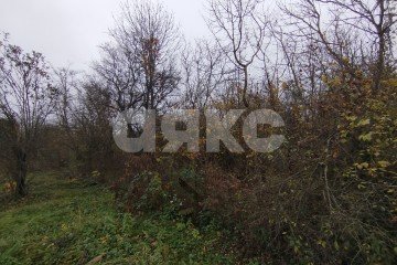 Фото №3: Земельный участок под ИЖС - Кутаисская, ул. Приречная, 26