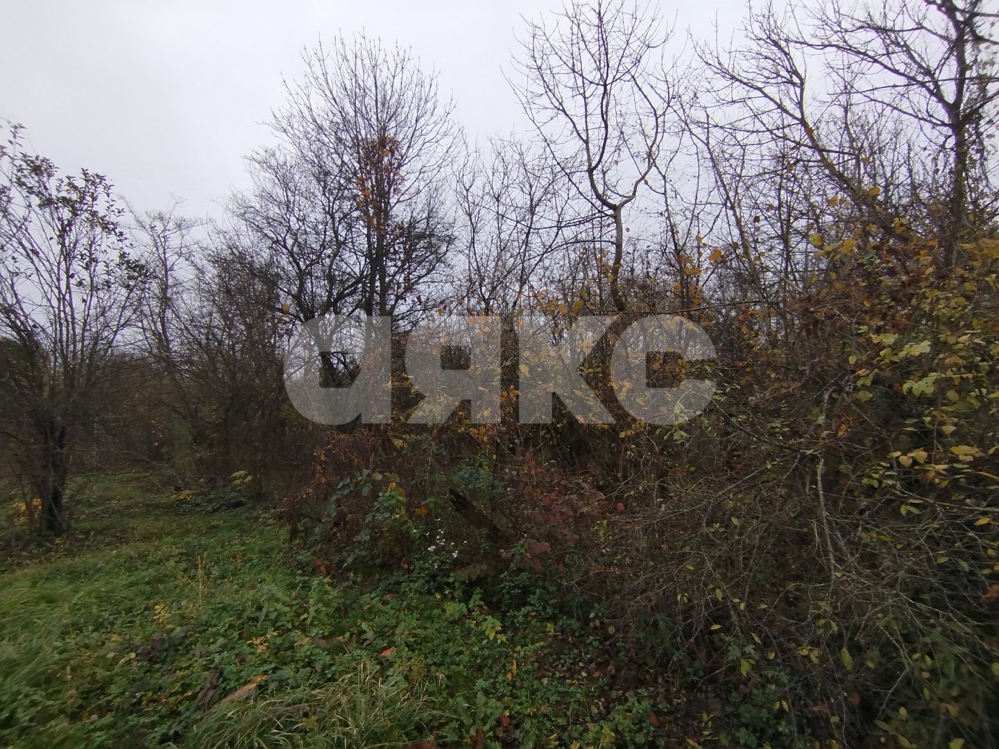 Фото №3: Земельный участок под ИЖС 21 сот. - Кутаисская, ул. Приречная, 26