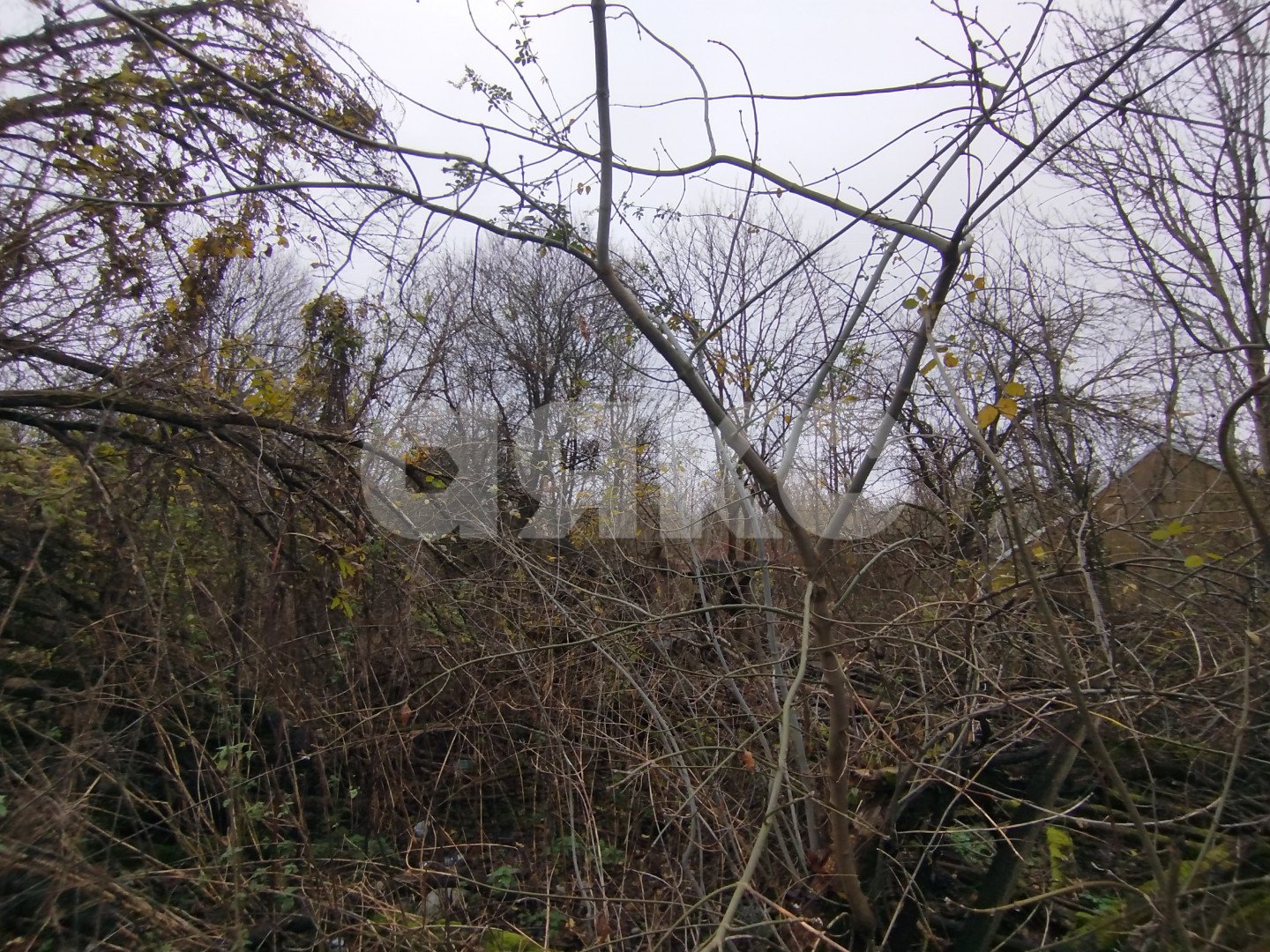 Фото №4: Земельный участок под ИЖС 15 сот. - Кутаисская, ул. Приречная