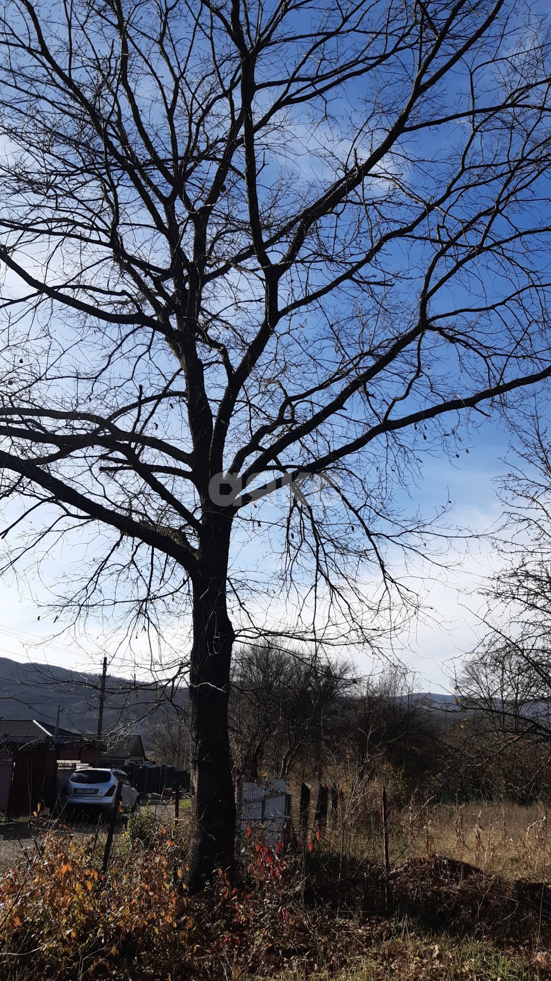 Фото №6: Земельный участок под ИЖС 12.5 сот. - Безымянное, ул. Родниковая