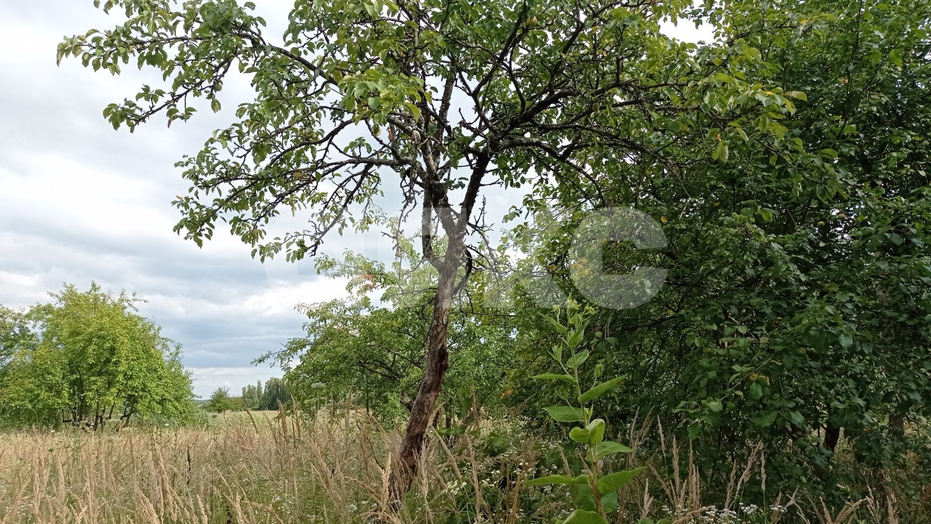 Фото №2: Коммерческая земля 5 сот. - Краснодарский край городской округ Горячий Ключ