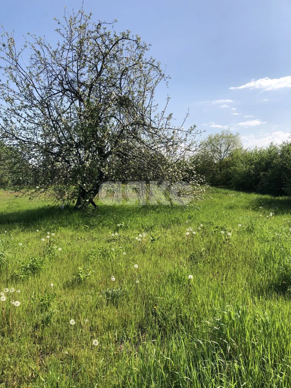 Фото №5: Земельный участок под ИЖС 20 сот. - Мартанская, ул. Мира