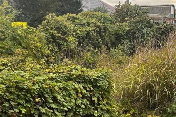 Фото №2: Земельный участок 4.06 сот. - Краснодаргорстрой, мкр. Прикубанский внутригородской округ, ул. 5-я Первомайская, 3