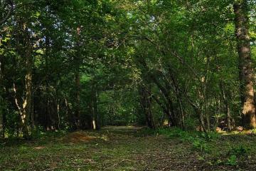 Фото №2: Земельный участок 10 сот. - Берёзовый, мкр. Прикубанский внутригородской округ, ул. Светлая, 28