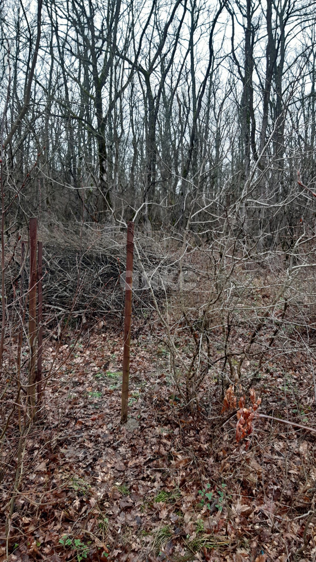 Фото №5: Земельный участок под ИЖС 10 сот. - Горячий Ключ, Заречье, мкр. Заречье, ул. Ломоносова