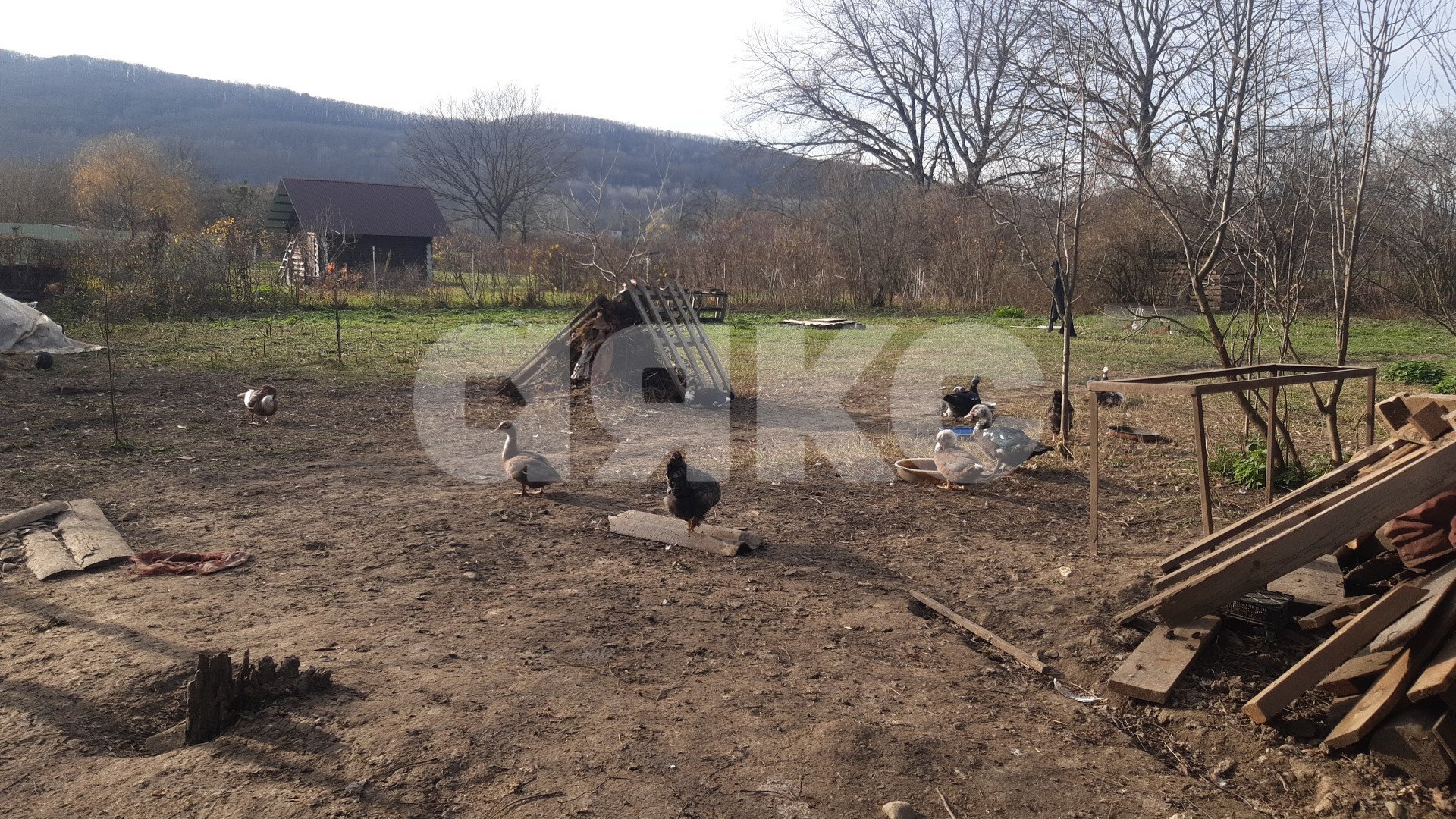 Фото №6: Дом 52 м² + 19.3 сот. - Безымянное, ул. Октябрьская