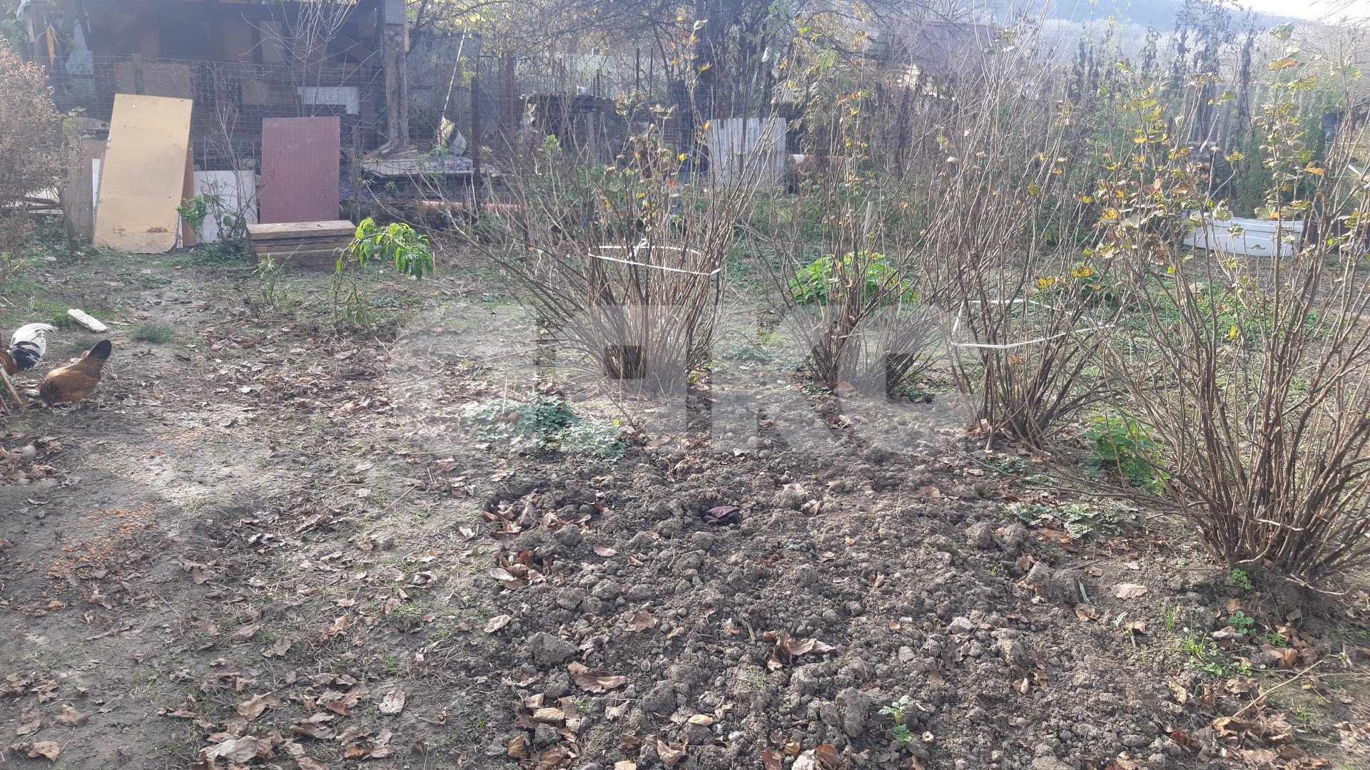 Фото №8: Дом 52 м² + 19.3 сот. - Безымянное, ул. Октябрьская