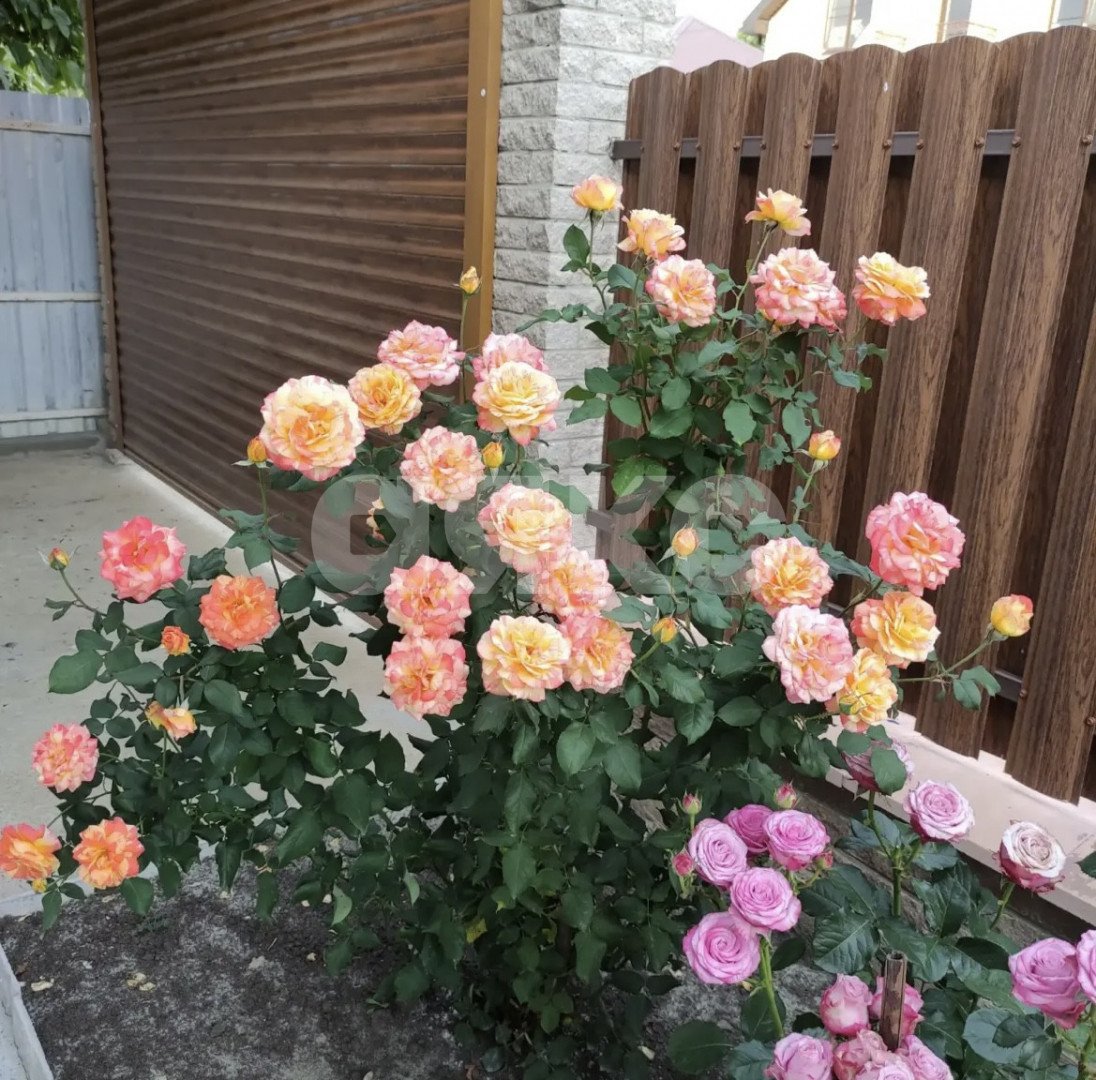 Фото №13: Дом 98 м² + 4 сот. - Горячий Ключ, Развилка, мкр. Развилка, ул. Восточная