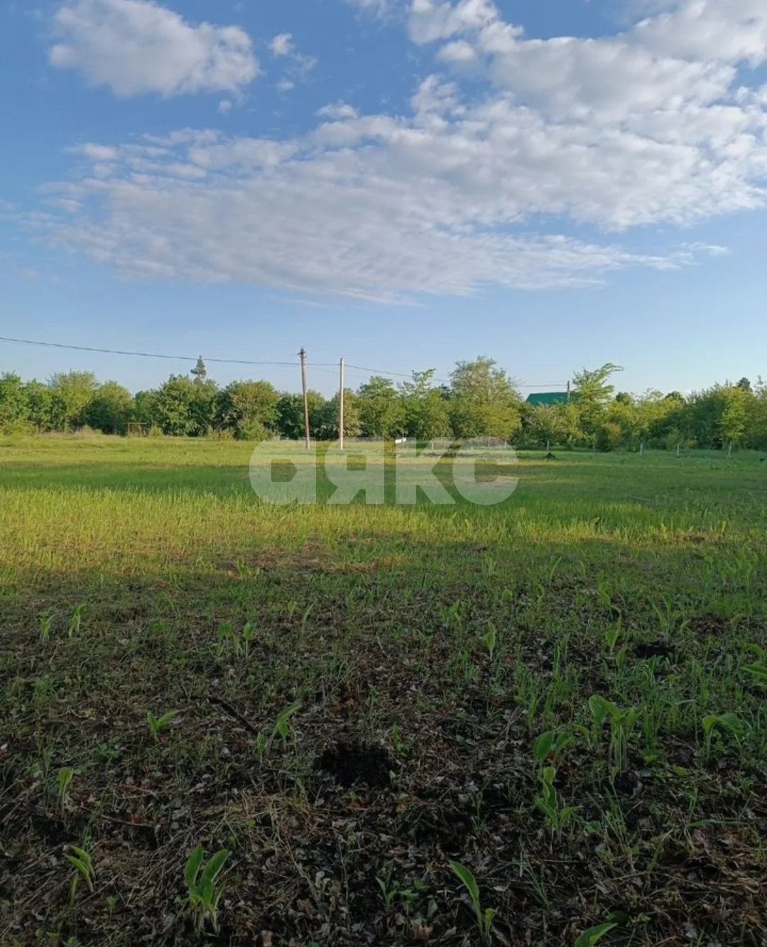 Фото №1: Личное подсобное хозяйство 18 сот. - Суздальская, ул. Заречная