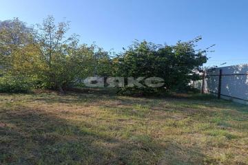 Фото №3: Личное подсобное хозяйство - Суздальская, ул. Заречная