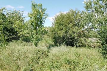 Фото №1: Земельный участок 7.72 сот. - Новодмитриевская, ул. Куйбышева