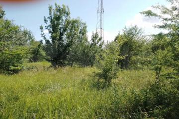 Фото №2: Земельный участок 7.72 сот. - Новодмитриевская, ул. Куйбышева