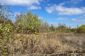 Фото №2: Земельный участок 15 сот. - Козет, ул. Убыхская, 13