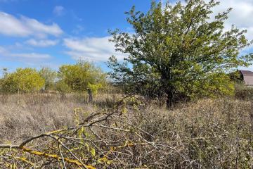 Фото №3: Земельный участок 15 сот. - Козет, ул. Убыхская, 13