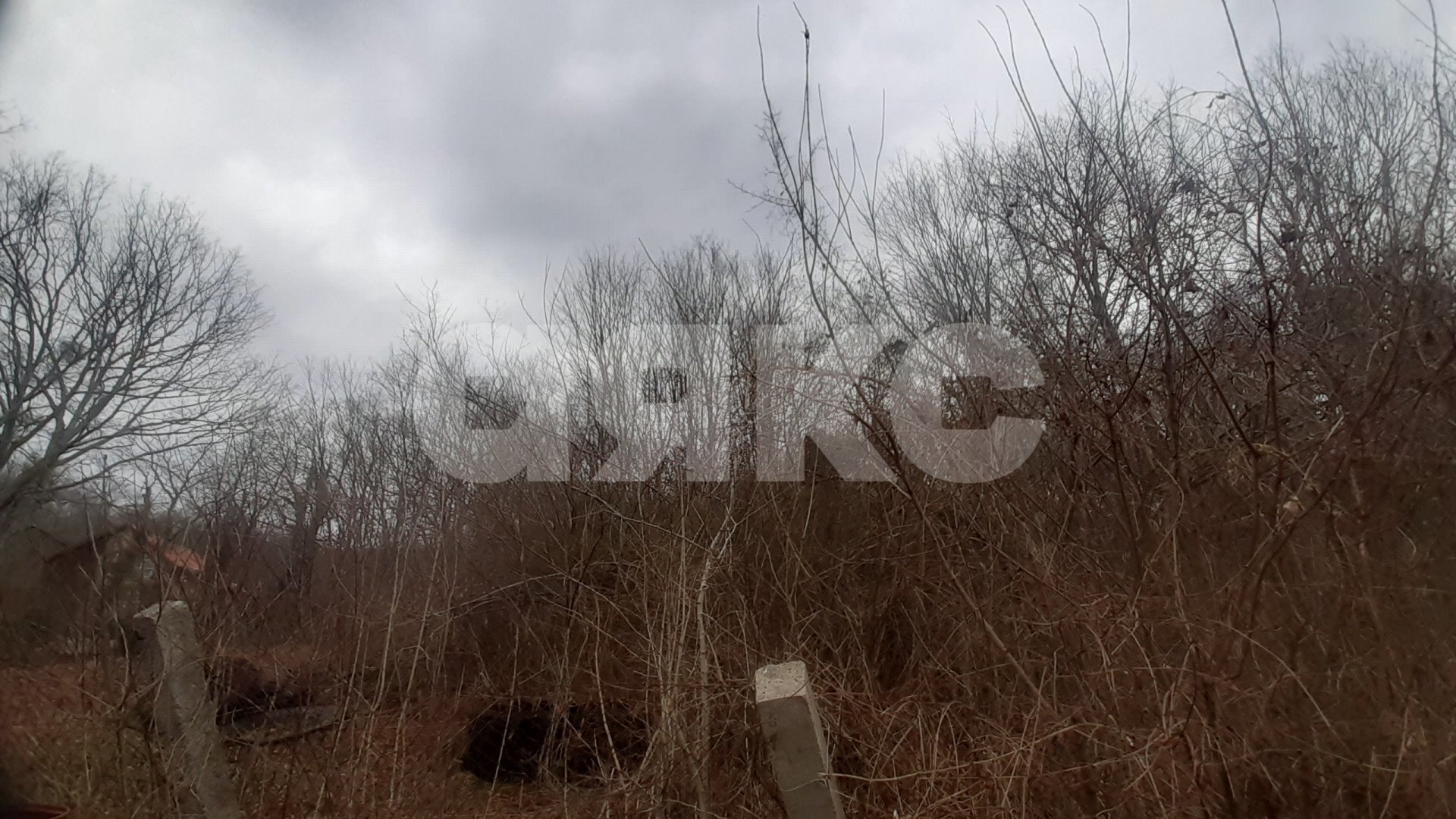 Фото №2: Земельный участок под ИЖС 5 сот. - Безымянное