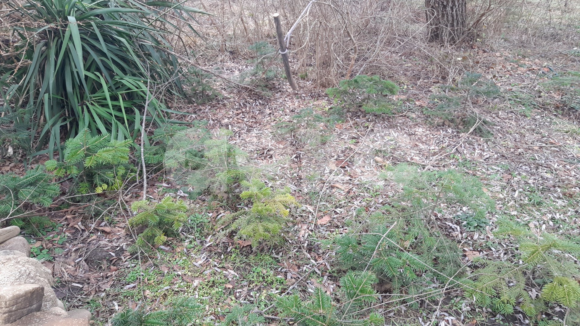 Фото №10: Земельный участок под ИЖС 5 сот. - Безымянное