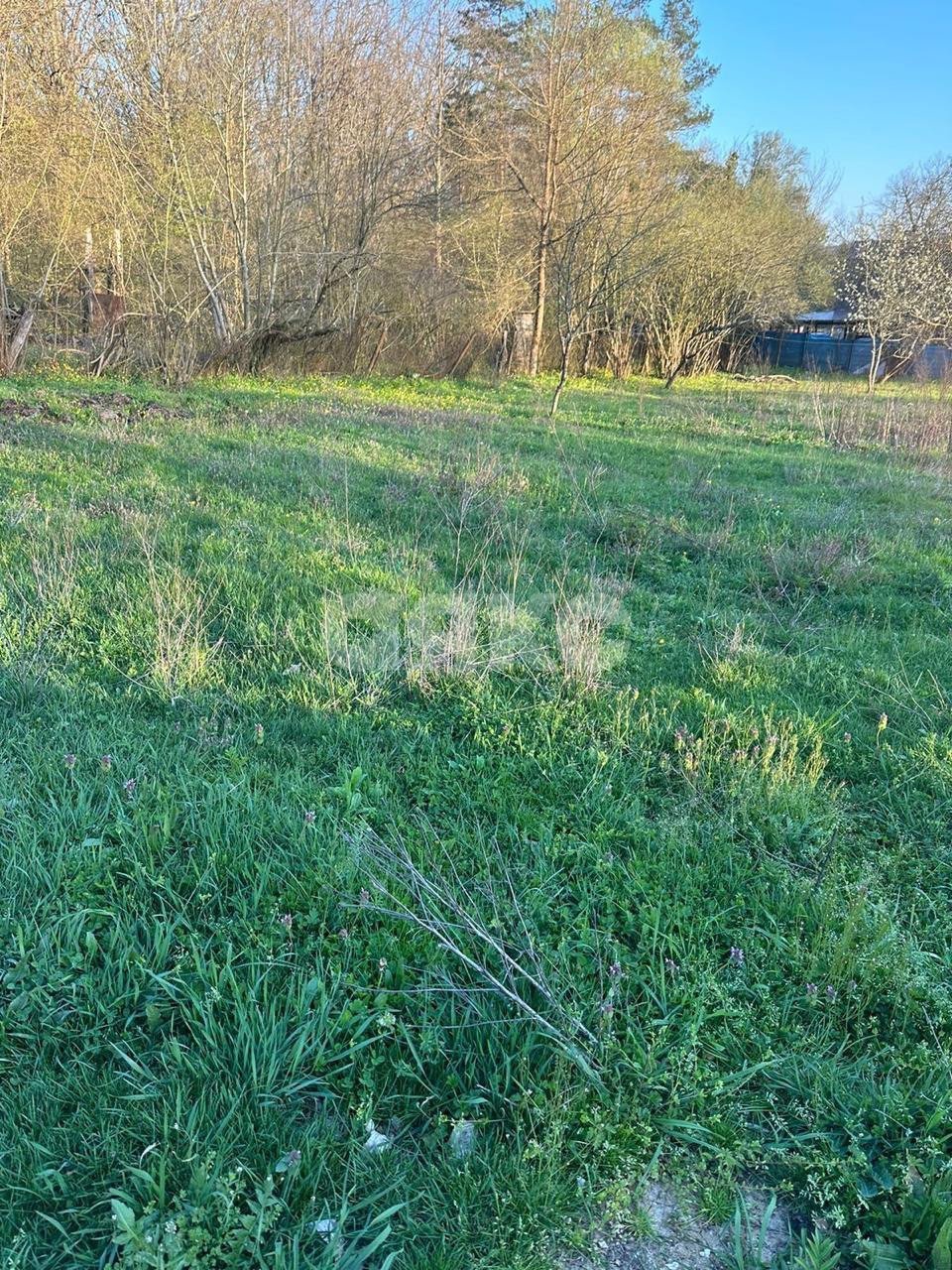 Фото №1: Земельный участок под ИЖС 16 сот. - Безымянное, ул. Родниковая, 2