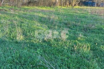 Фото №5: Земельный участок под ИЖС - Безымянное, ул. Родниковая, 2