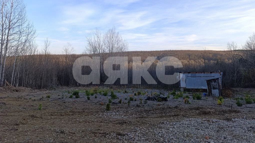 Фото №11: Участок садоводство 6 сот. - СНТ Дружба