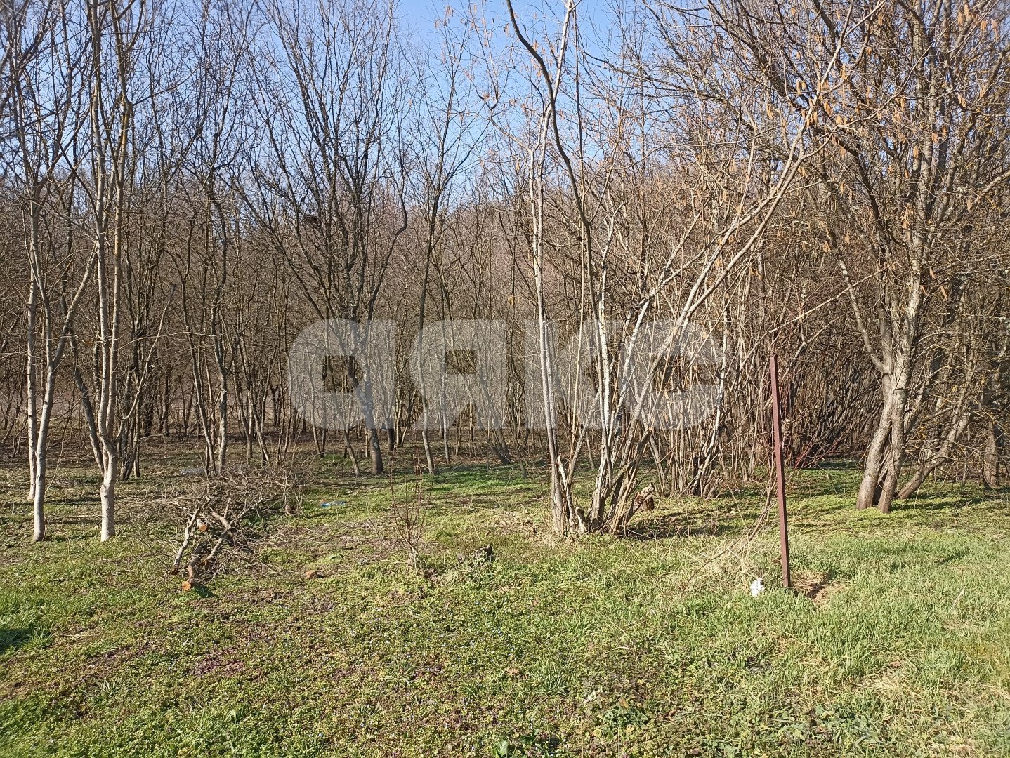 Фото №7: Земельный участок под ИЖС 24.5 сот. - Первомайский, ул. Комарова