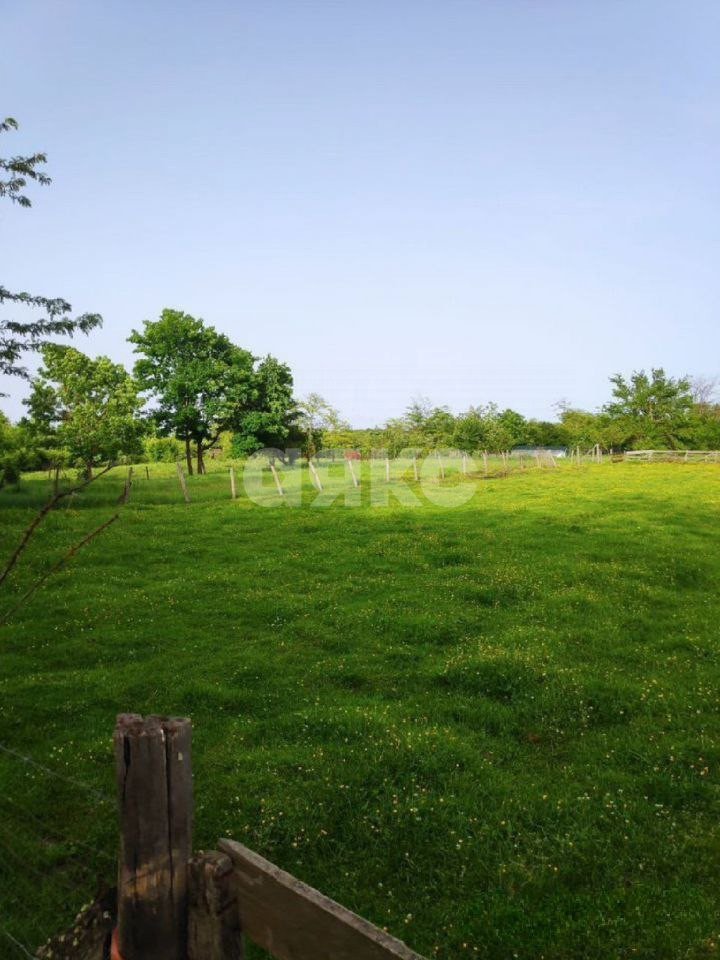 Фото №5: Земельный участок под ИЖС 25 сот. - Мартанская, ул. Мира