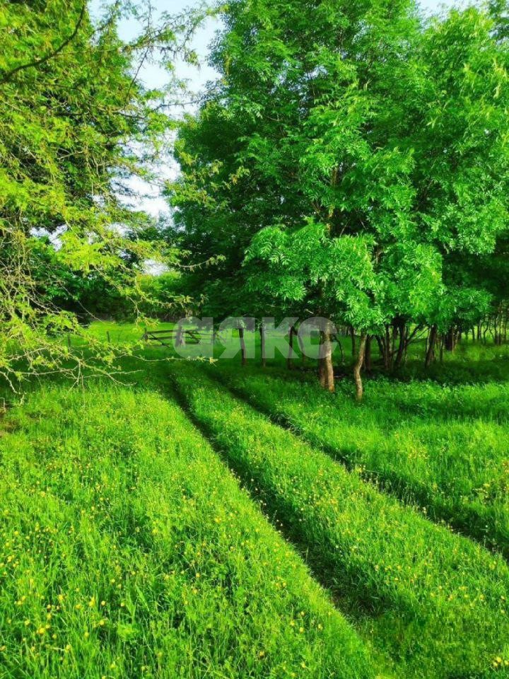 Фото №4: Земельный участок под ИЖС 25 сот. - Мартанская, ул. Мира