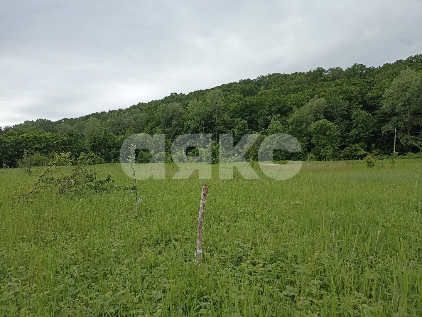 Фото №2: Земельный участок под ИЖС 6 сот. - Безымянное, ул. Речная