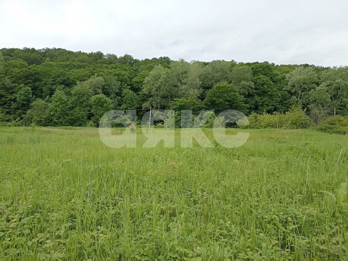 Фото №6: Земельный участок под ИЖС 9 сот. - Безымянное, ул. Таманская, 39