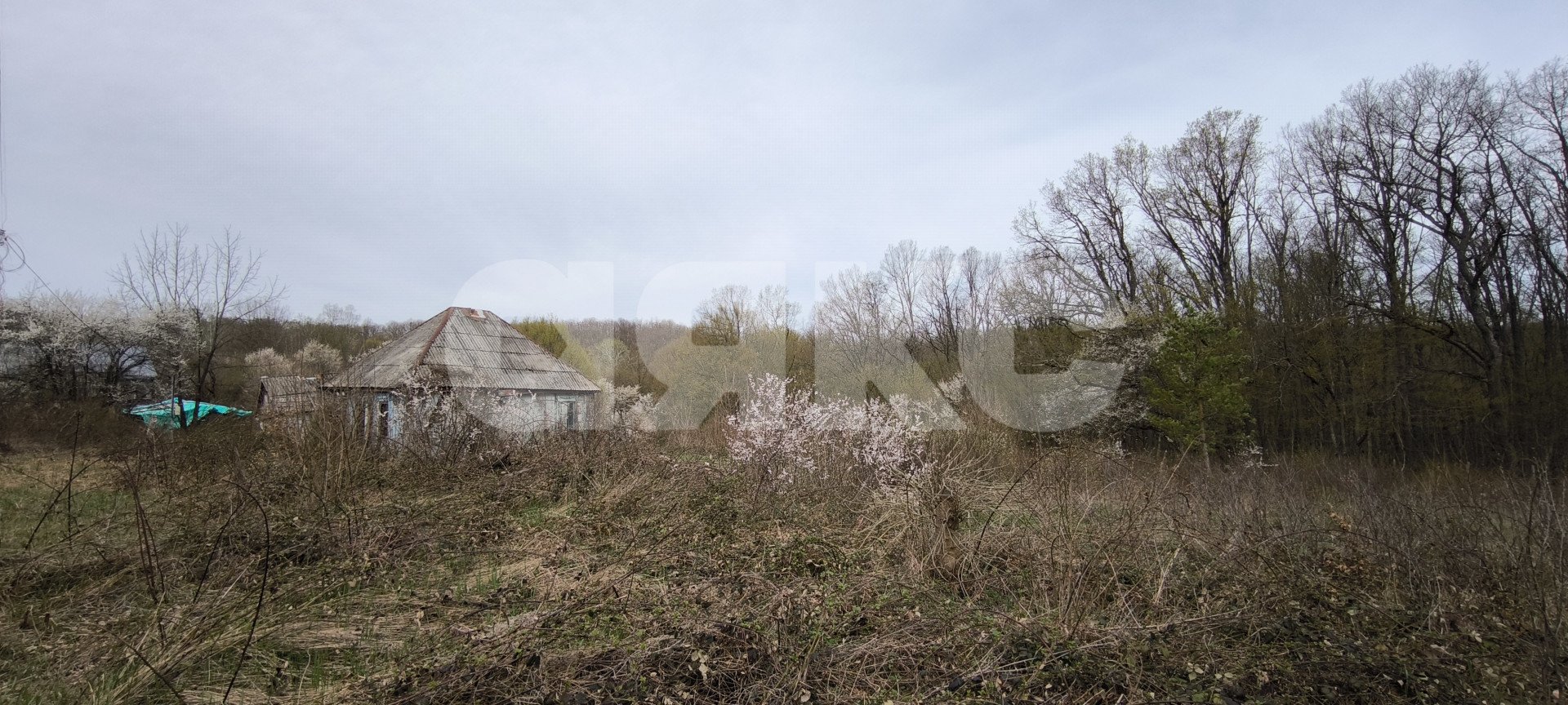 Фото №4: Земельный участок под ИЖС 15.05 сот. - Кутаис, ул. Нефтяников