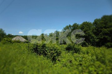 Фото №2: Земельный участок под ИЖС - Кутаис, ул. Нефтяников